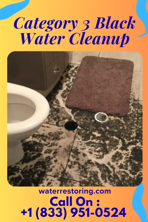 Category 3 Black Water Cleanup in Millard, MO