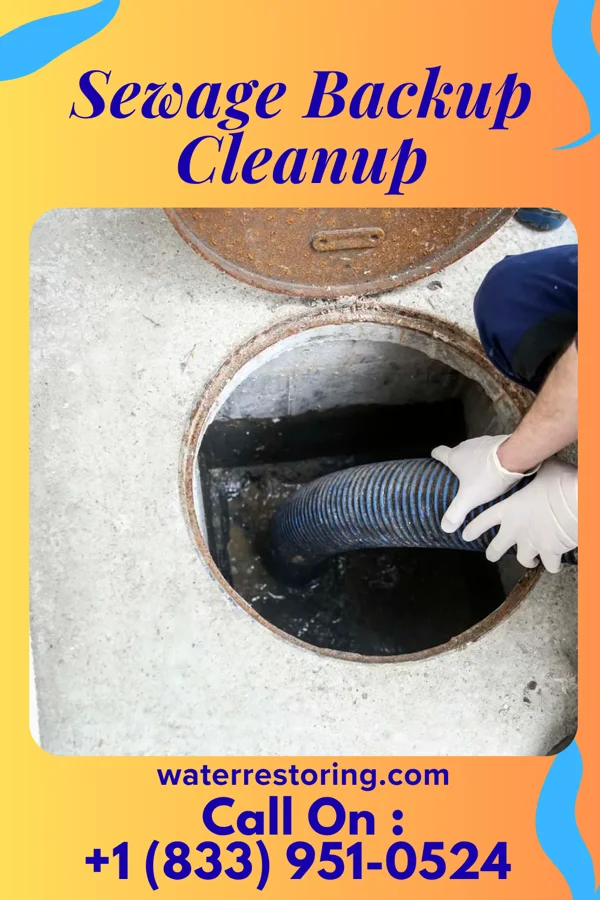 Sewage Backup Cleanup in Millard, MO