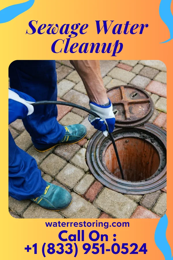 Sewage Water Cleanup in Millard, MO