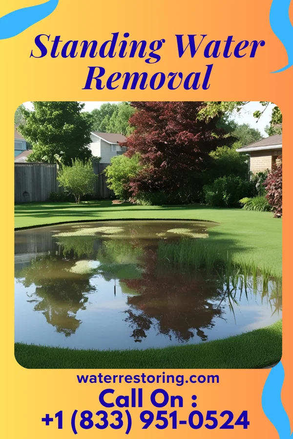 Standing Water Removal in Millard, MO